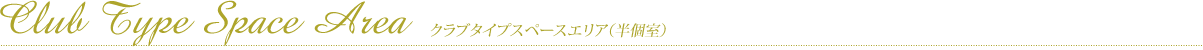 Club Type Space Area