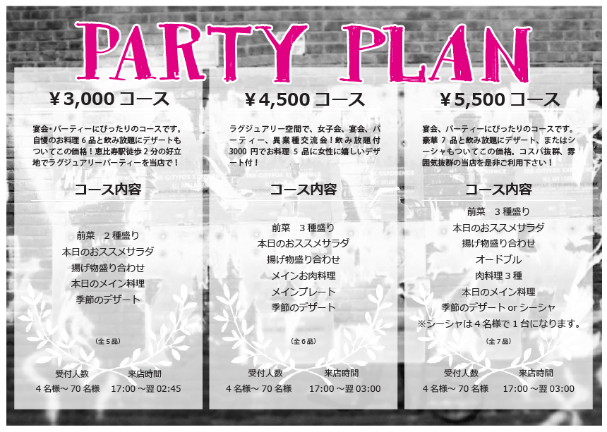 PARTY PLAN
